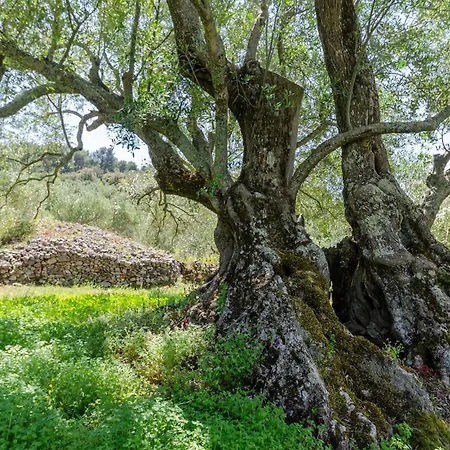 Prigradice With Sea View 402 Σπίτι διακοπών